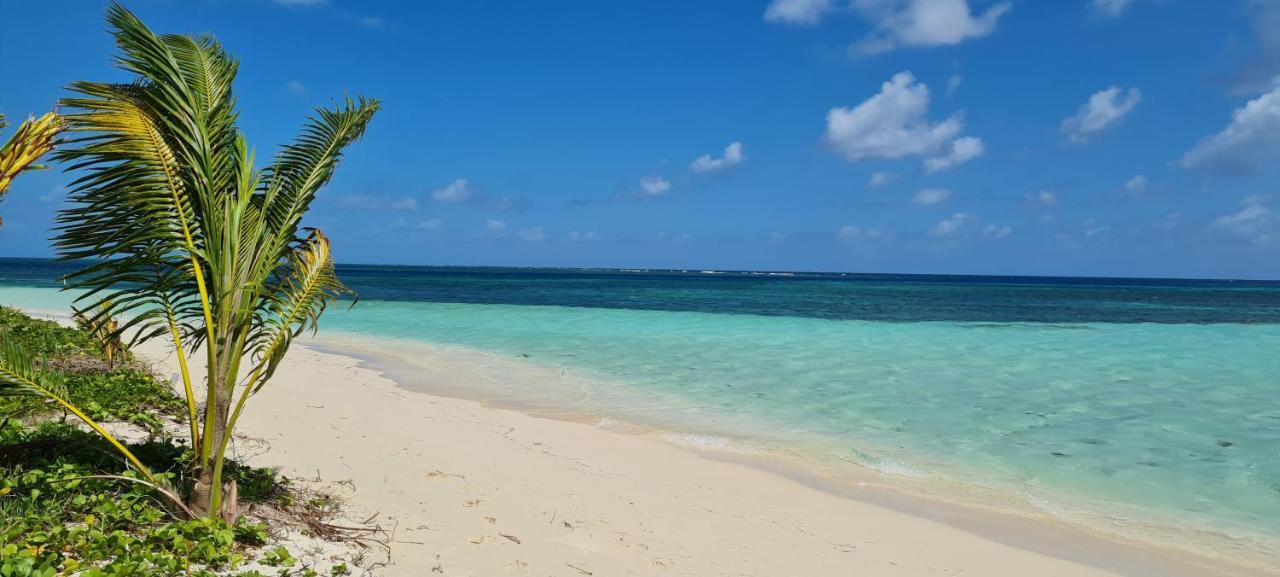 Gite Kaz A Topaze, Piscine, Jardin Tropical Sainte-Rose Eksteriør bilde