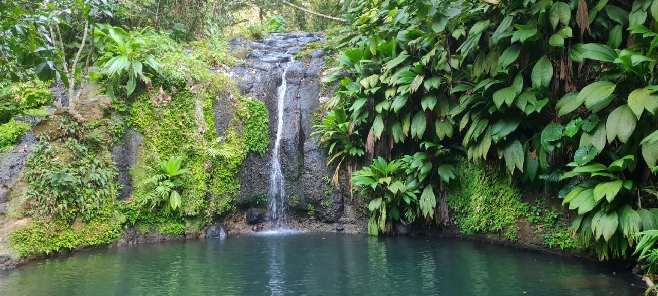 Gite Kaz A Topaze, Piscine, Jardin Tropical Sainte-Rose Eksteriør bilde