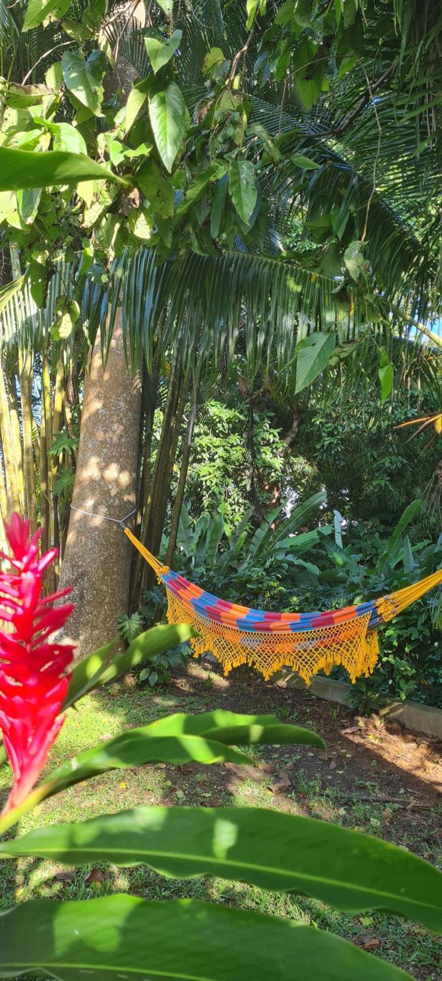 Gite Kaz A Topaze, Piscine, Jardin Tropical Sainte-Rose Eksteriør bilde